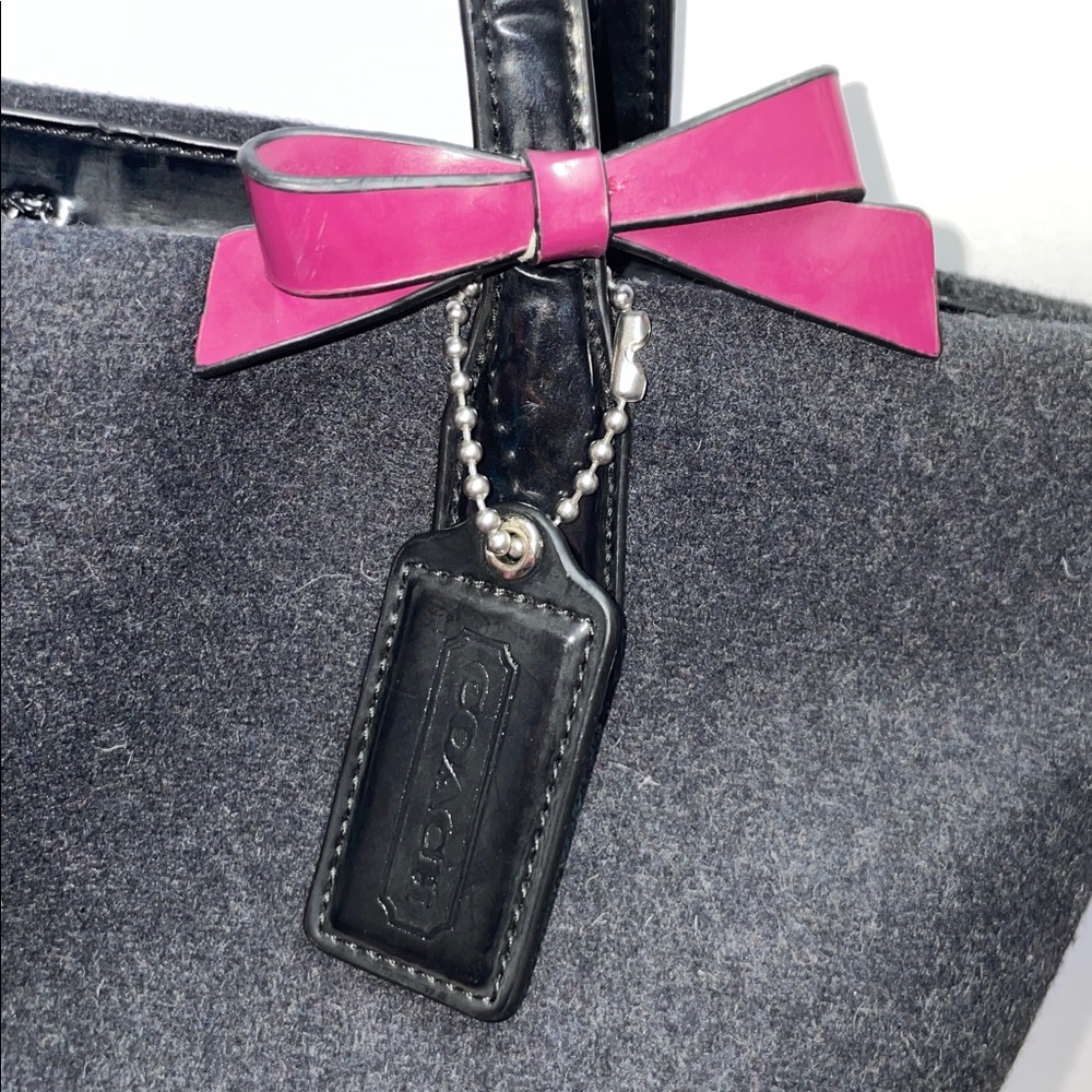 Coach Signature Stripe N/S Wool Tote - Picture 9 of 16